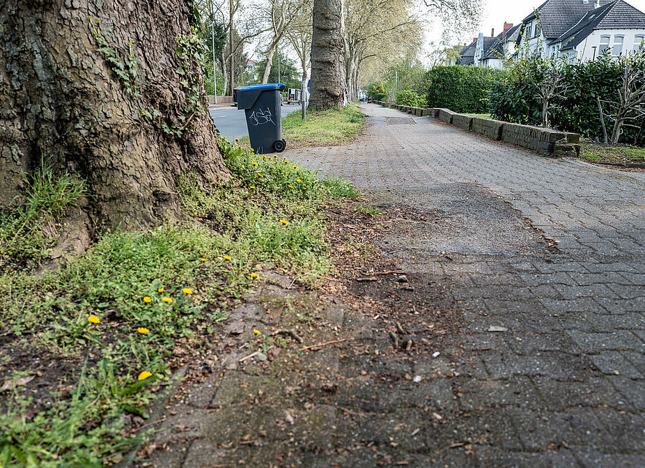 Defekter Radweg Preußenstraße Defekter Radweg Preußenstraße